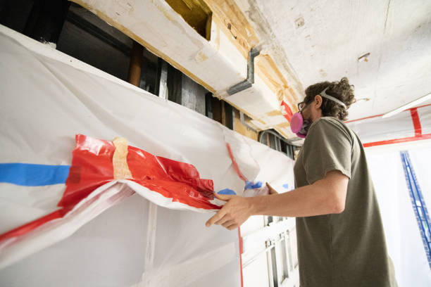 Mold Odor Removal Services in Ukiah, CA