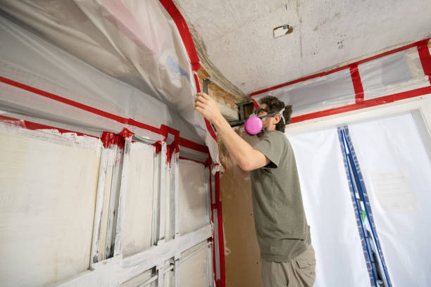 Forensic Mold Investigation in Ukiah, CA